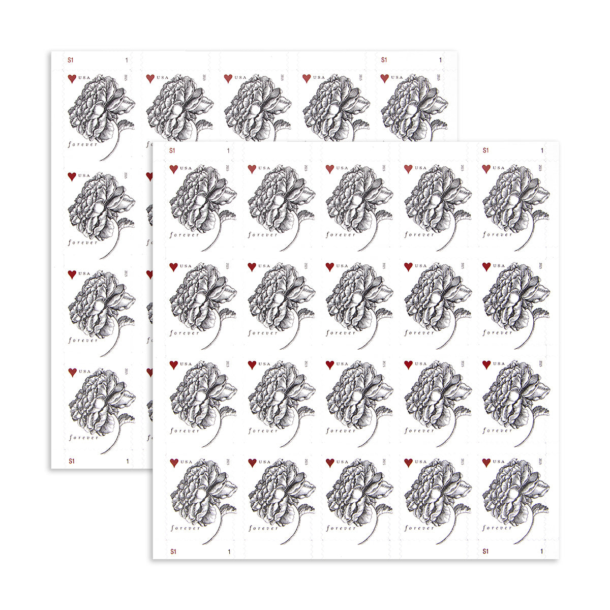 2015-engraved-vintage-rose-buy-discount-postage-online